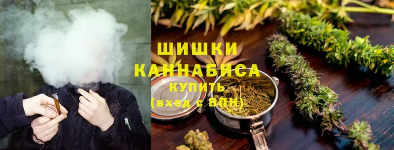 где найти   Грязовец  Бошки марихуана Ganja 